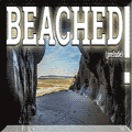 Beached_masodo